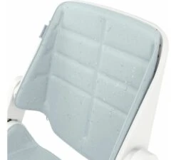 Maxi-Cosi Nesta Kinderstoel Toddler Kit - Beyond Sky Grey -Kinderwagens Verkoop maxi cosi nesta kinderstoel toddler kit beyond sky grey 2