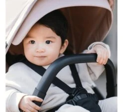 Thule Shine Kinderwagen - Roze -Kinderwagens Verkoop thule shine kinderwagen roze 2